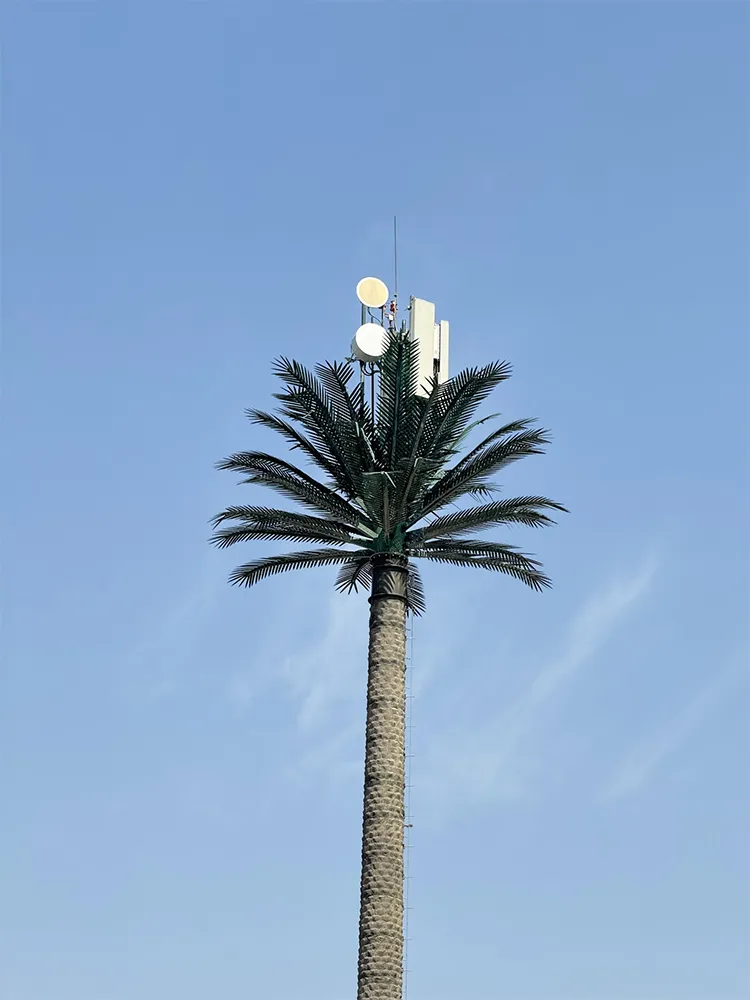 Internet in Dubai
