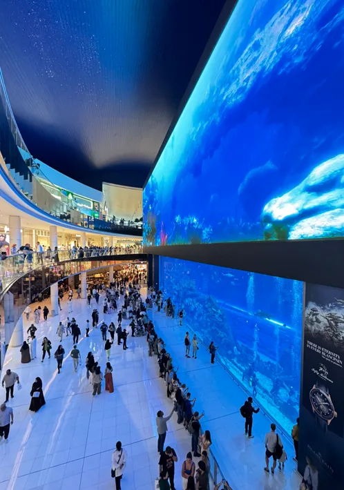 Dubai Aquarium
