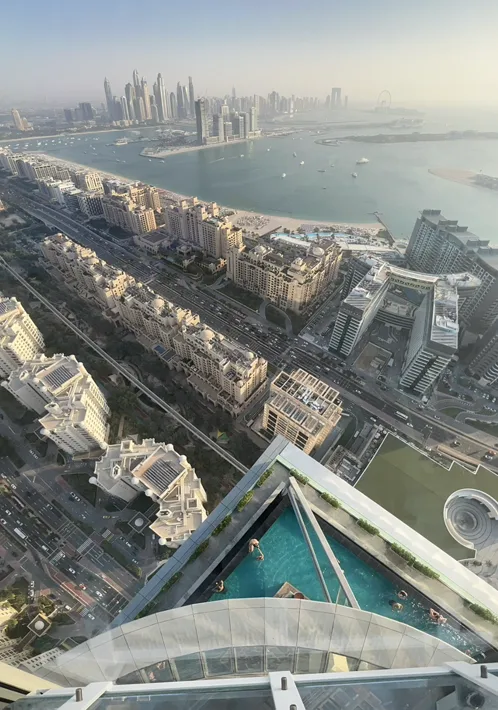 The View at the Palm