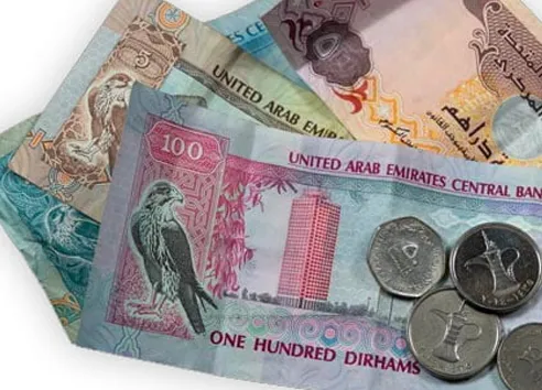 UAE dirham banknotes and coins