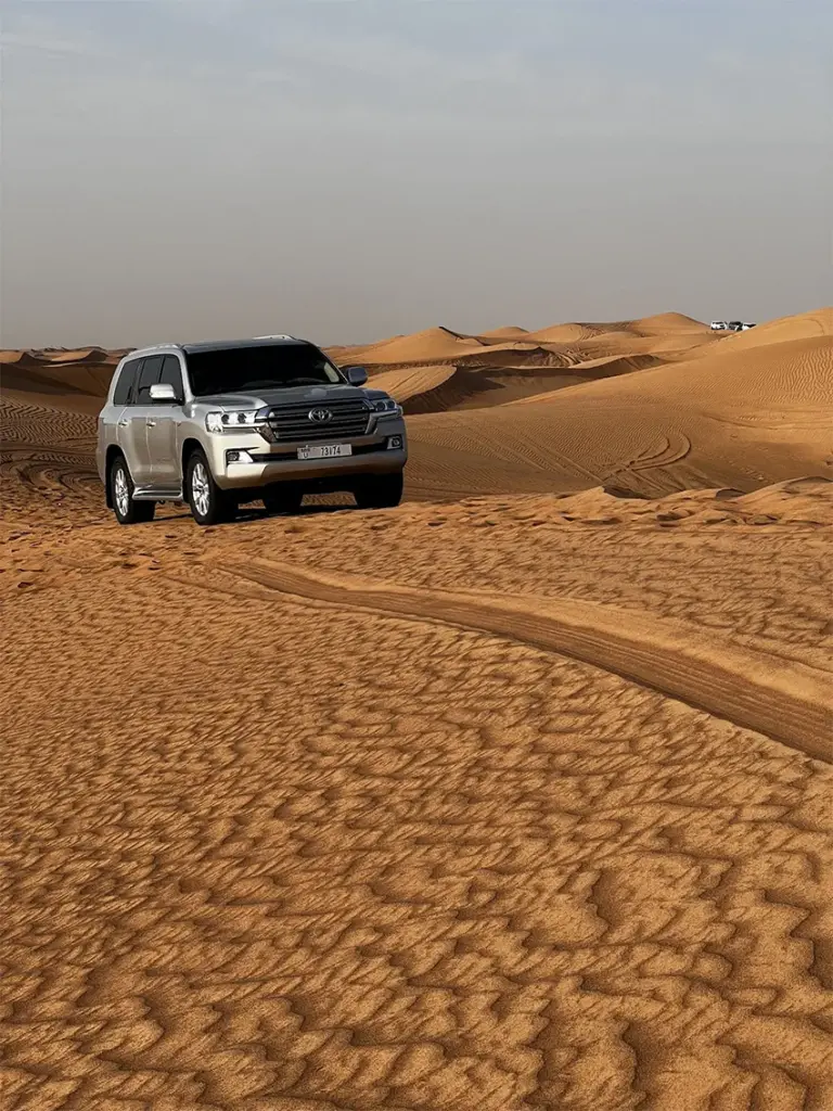 Dunebashing