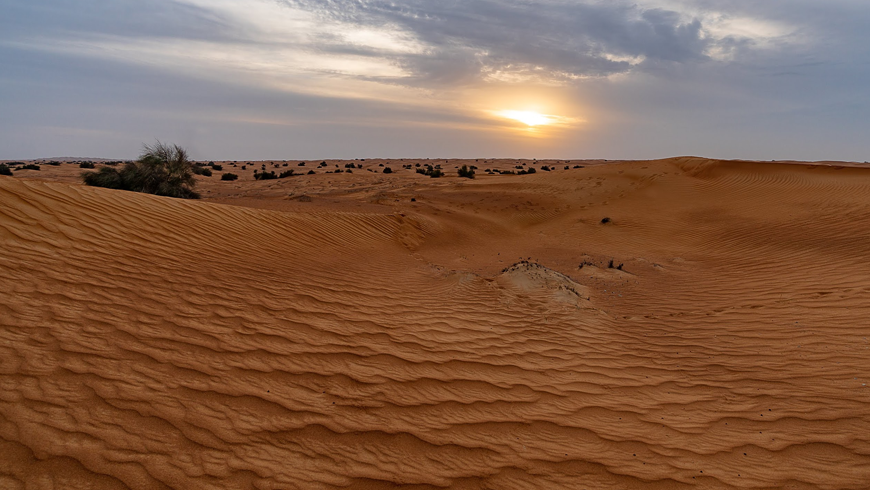Wüste dubai dunebashing Touren
